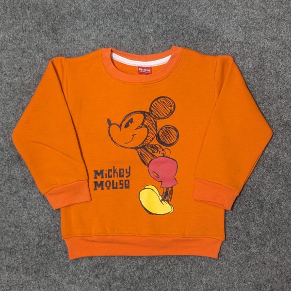 sweat shirt in orange